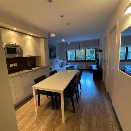 Solneu Apartamento Naut Aran